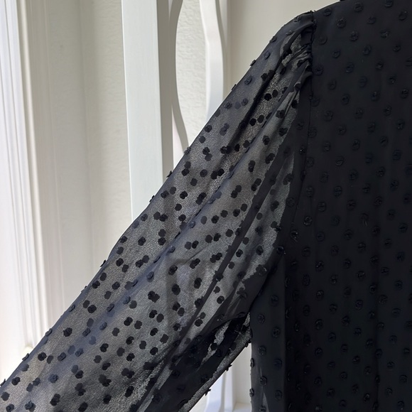 J Crew Ruffle V Neck Sheer Popcorn Button Down Shirt Blouse Size S - Picture 4 of 8